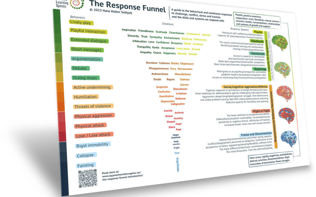 Response funnel model conceptual and theoretical aspects