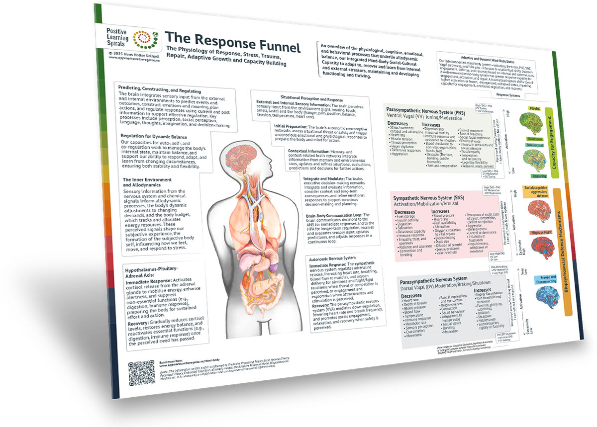 Responstrakten-Body_brain_3D-1200x859_ENG-L