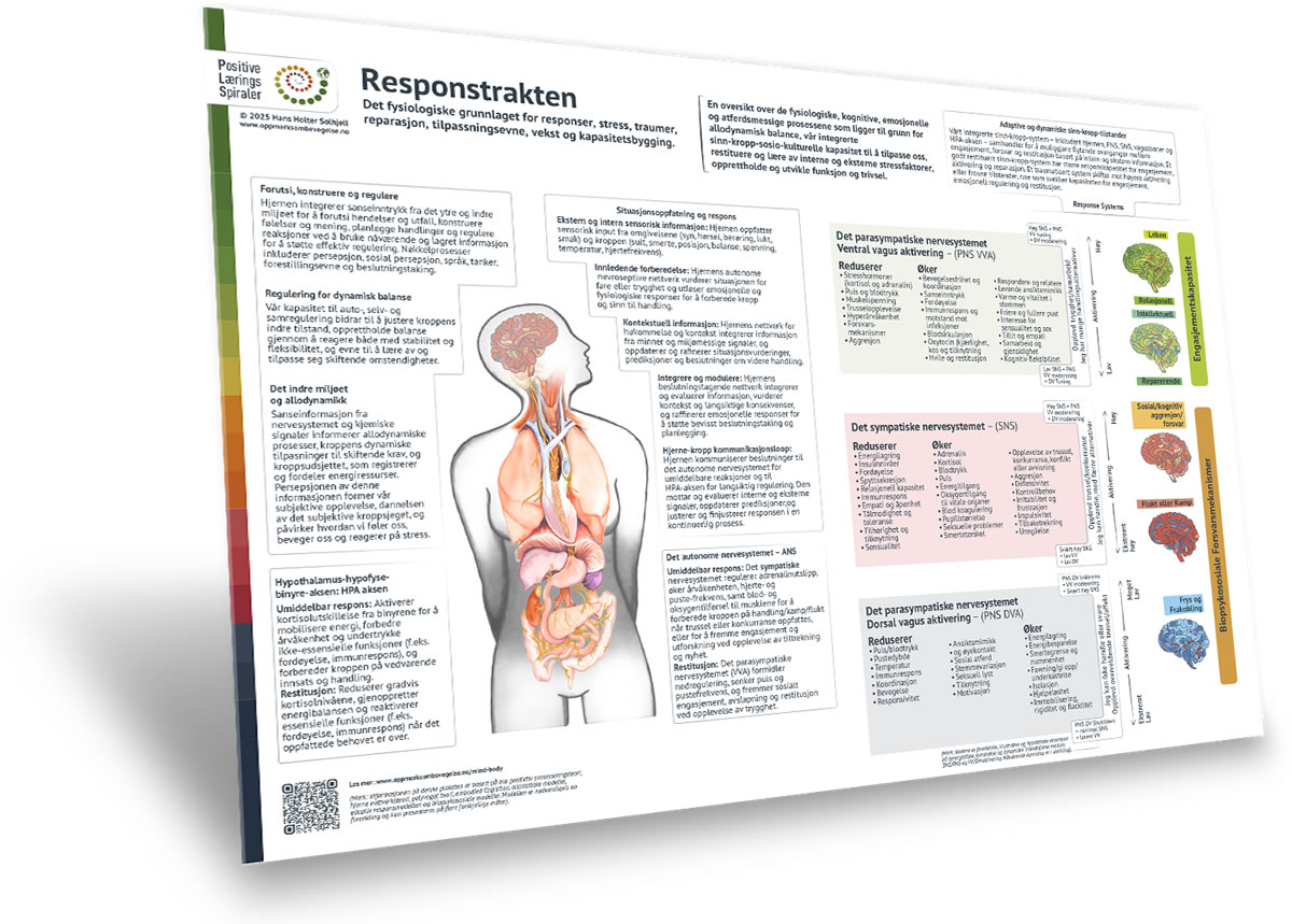 Responstrakten-Original_Variations_3D-1200x859_NORW-L